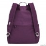 Рюкзак GRIZZLY RXL-325-1 фиолетовый