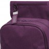 Рюкзак GRIZZLY RXL-325-1 фиолетовый
