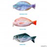 Пенал Рыба Fresh fish (Rainbow)