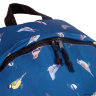 Молодёжный рюкзак BRAUBERG Сити-формат Big Птицы