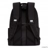 Рюкзак школьный GRIZZLY RG-267-5/2 (/2 черный)